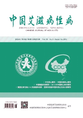 中国艾滋病性病封面